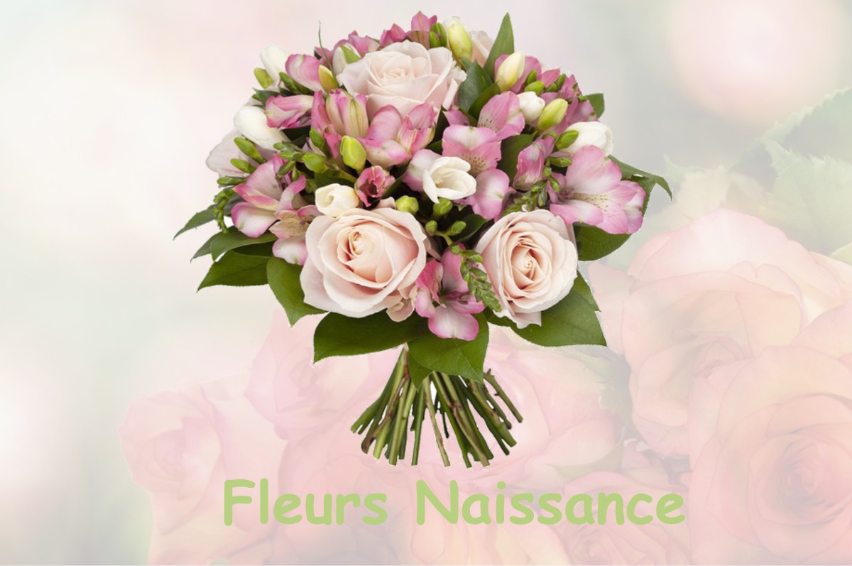 fleurs naissance HEYRIEUX