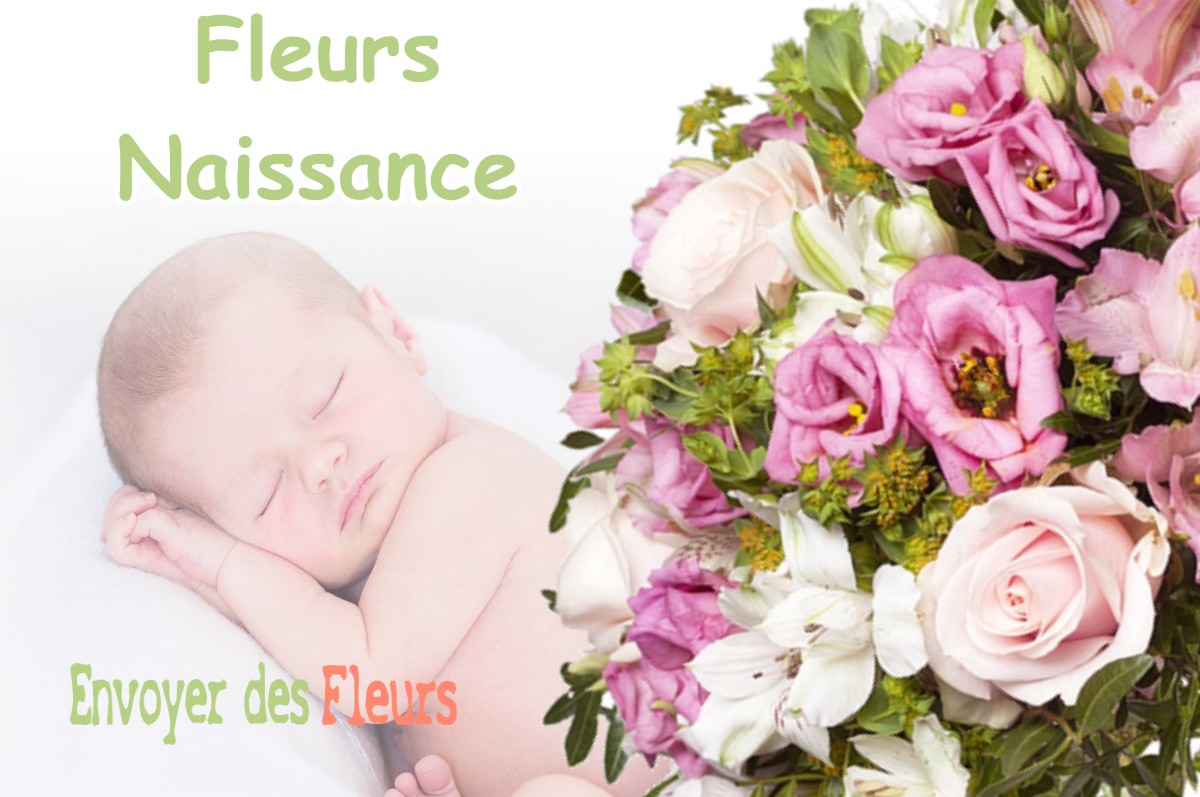 lIVRAISON FLEURS NAISSANCE à HEYRIEUX